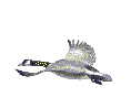 Lake Map Large