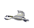 Lake Map Satellite