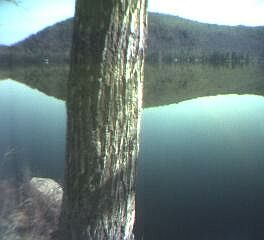 ___LakeNorth_