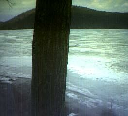___LakeNorth_
