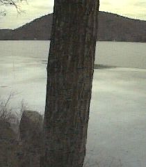 ___LakeNorth_