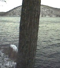 ___LakeNorth_
