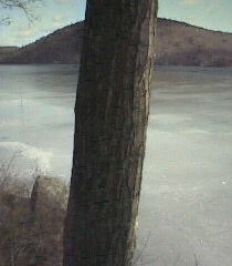 ___LakeNorth_