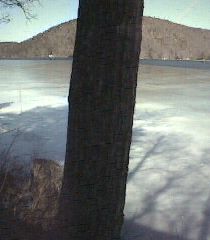 ___LakeNorth_