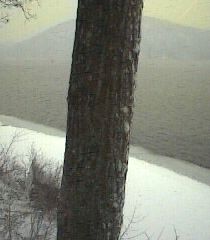 ___LakeNorth_