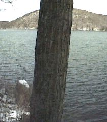___LakeNorth_