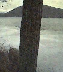 ___LakeNorth_