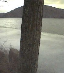 ___LakeNorth_