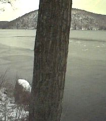 ___LakeNorth_