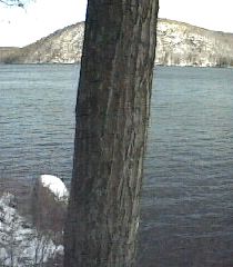 ___LakeNorth_