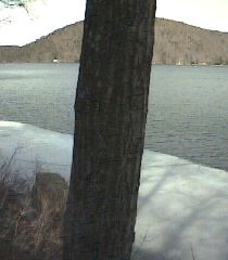 ___LakeNorth_