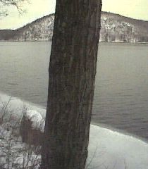 ___LakeNorth_