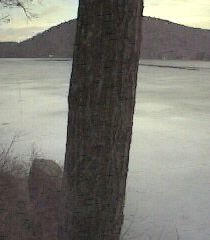 ___LakeNorth_
