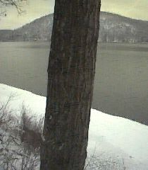 ___LakeNorth_