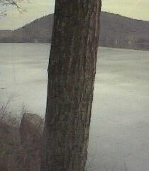 ___LakeNorth_