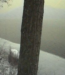 ___LakeNorth_