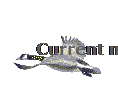 Current month