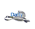 Daily