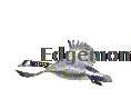 Edgemont Stats