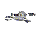 Entire Week