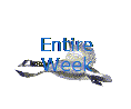 Entire
Week