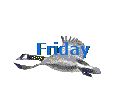 Friday