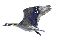 Friday