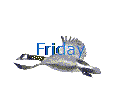 Friday
