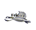 Friday