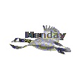 Monday
