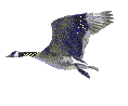 Saturday