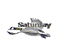 Saturday