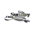 Sunday
