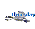 Thursday