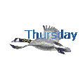 Thursday