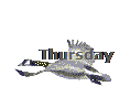 Thursday