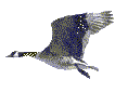 Tuesday