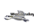 Wednesday