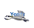 Yearly