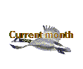 Current month