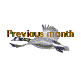 Previous month