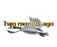 Two months ago