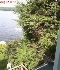Looking East