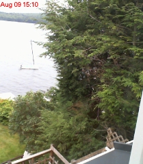 Looking East