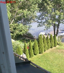 Looking North