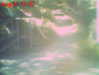 Camera 3