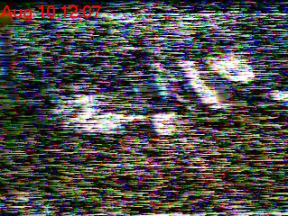 Camera 5